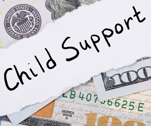 Dianna-Cole-Child-Support-Attorneys-Michiana-Area.jpg